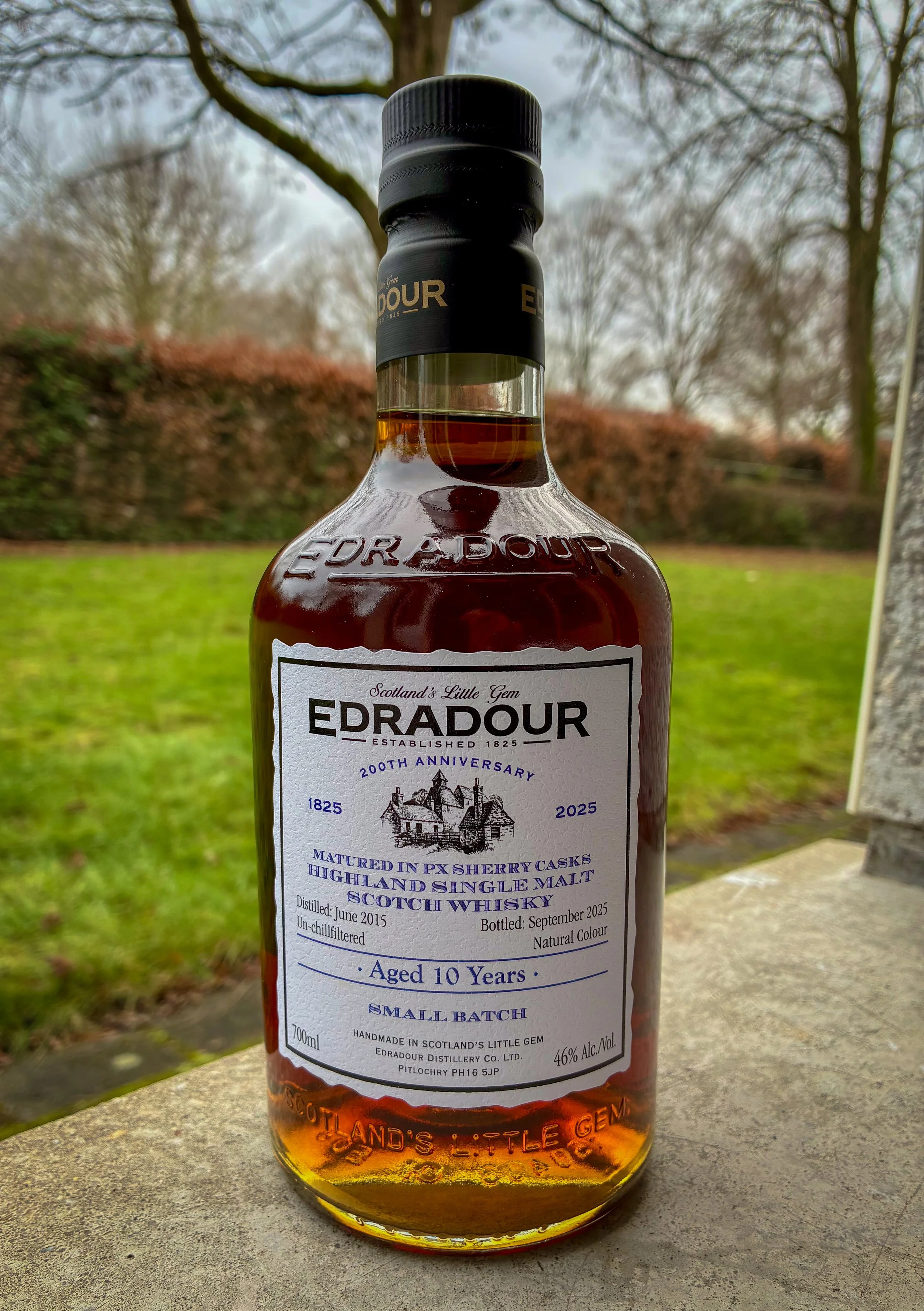 Springbank 5yo 100º Proof — Dramface